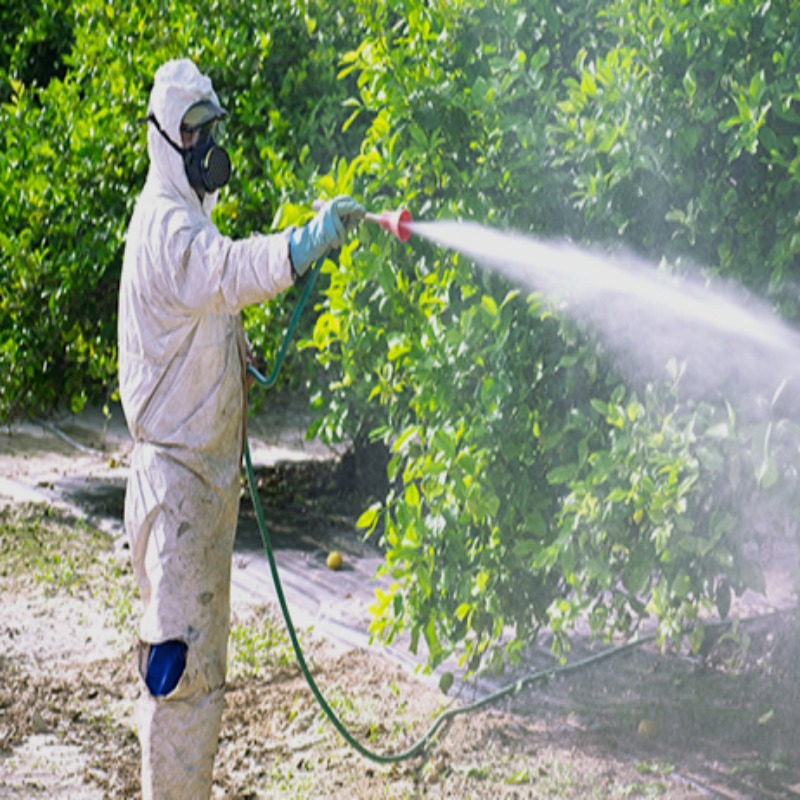 Garden High Pressure Spray Gun Increases Efficiency in Garden Maintenance